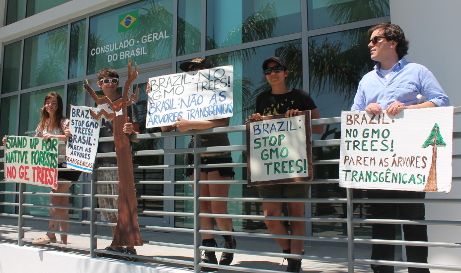 FL GE Trees Brazil Protest People 2