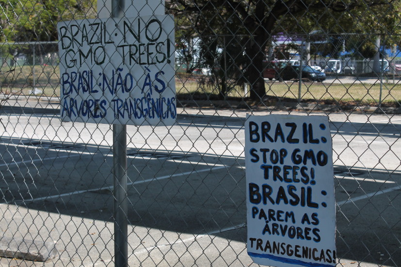FL GE Trees Brazil Protest